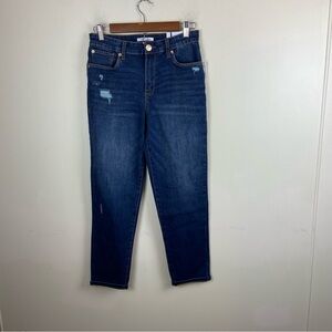 STS Blue Caroline Straight Leg High Rise Stitch‎ Fix Denim Jeans Classic NWT 27